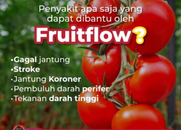 SOP Subarashi terbuat dari apa 