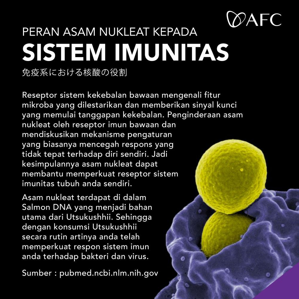 Utsukushhii untuk daya tahan tubuh 6
