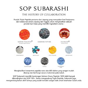 SOP Subarashi Aman Untuk Ginjal